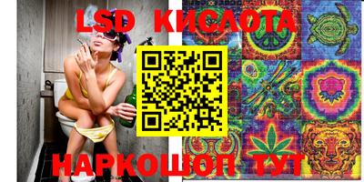 прущие крисы Сланцы