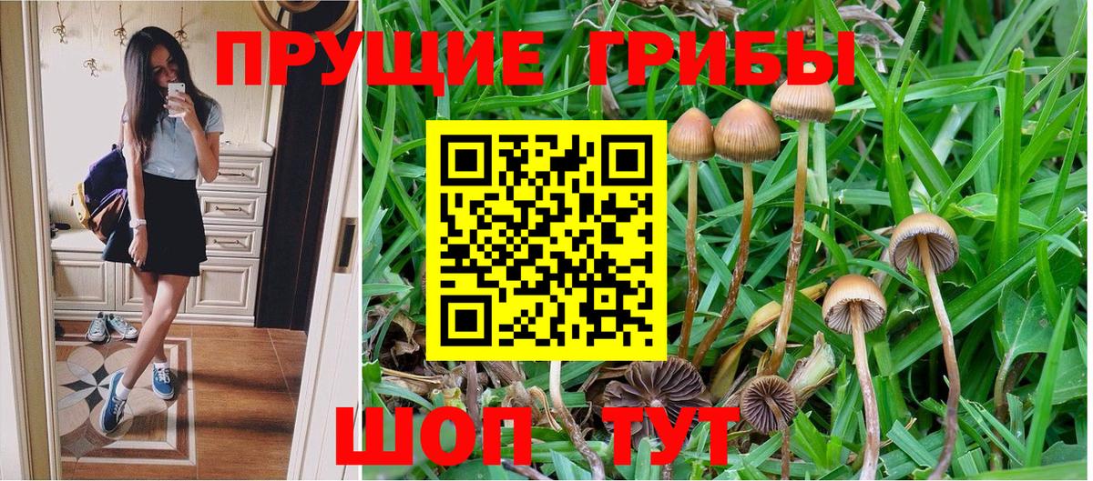 Галлюциногенные грибы GOLDEN TEACHER Боровичи