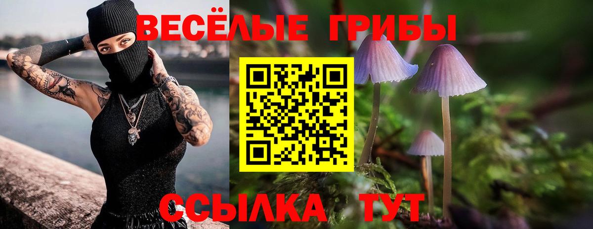 Галлюциногенные грибы Psilocybine cubensis  Галлюциногенные грибы ЛСД  Боровичи  Вход с VPN 
